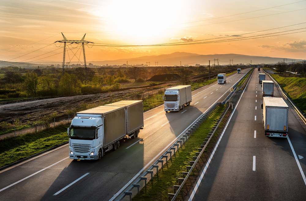 Shutterstock 2745028529 72Dpi
