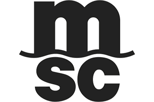 MSC 300X200 1