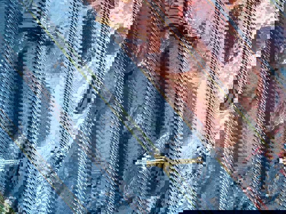 Buy-Sell Management (1)