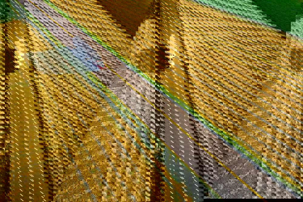 Vehicle Routing and Scheduling