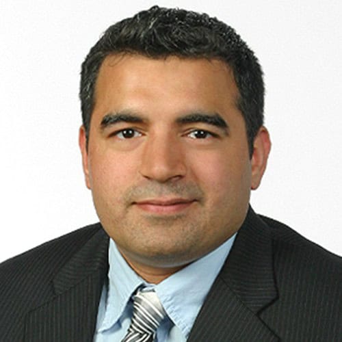 David Strauss, VP, Strategic Partner & Enterprise Solutions, e2open