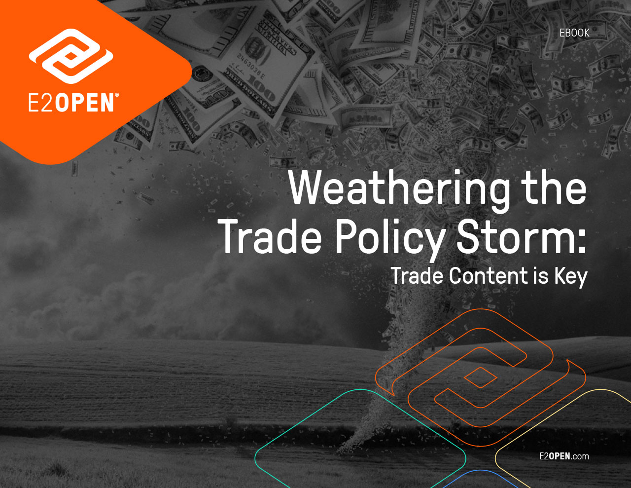 Weathering the Trade Policy Storm eBook