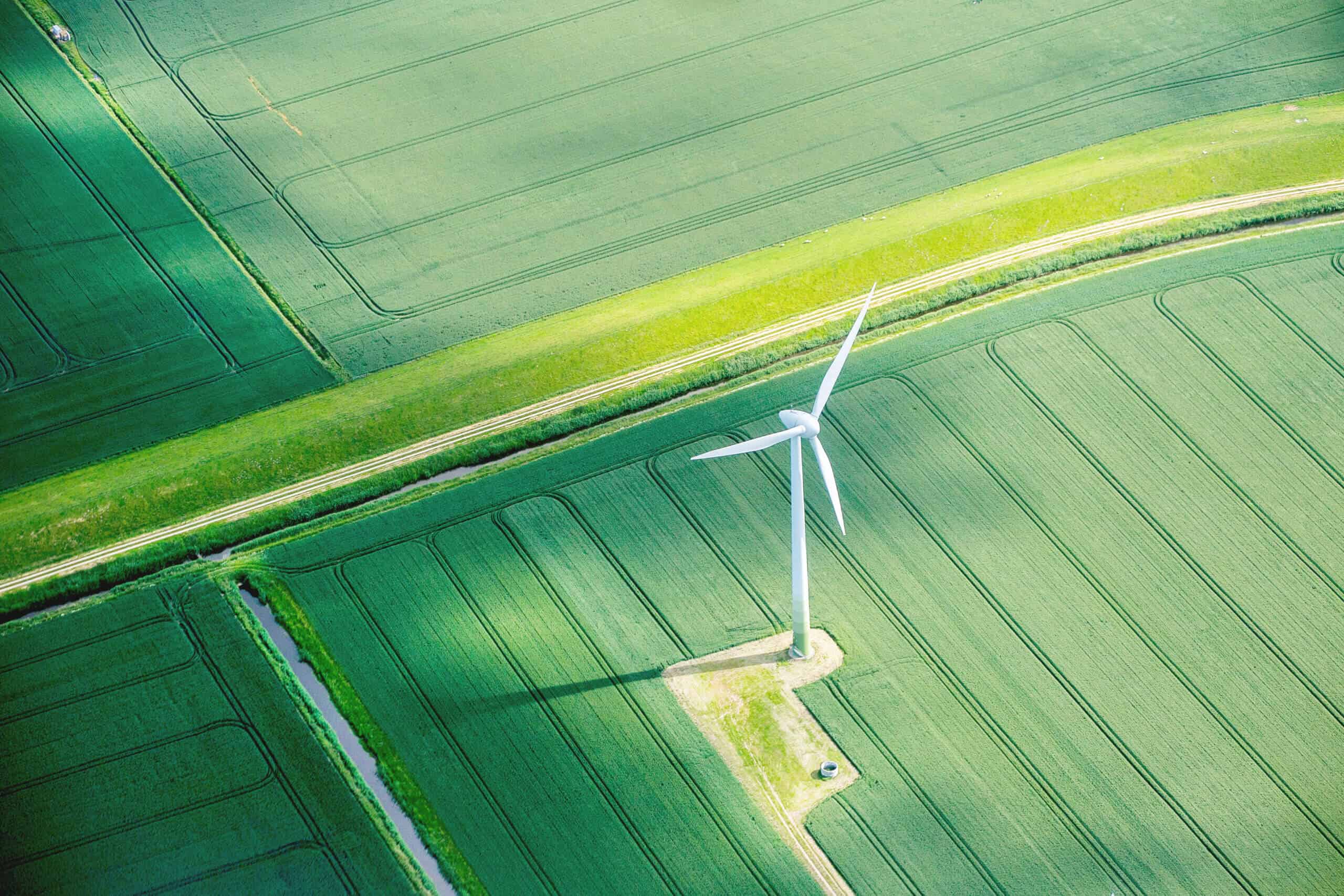 A wind turbine stands in a field of agricultural crops