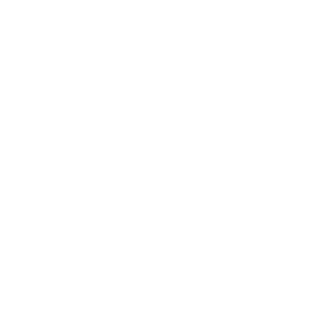 Erhöhung der kurzfristigen Prognosegenauigkeit