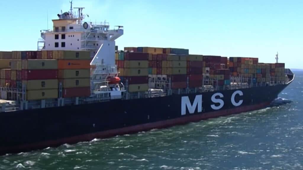 msc msc