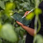 E2open Releases 2023 Environmental, Social, and Governance Report