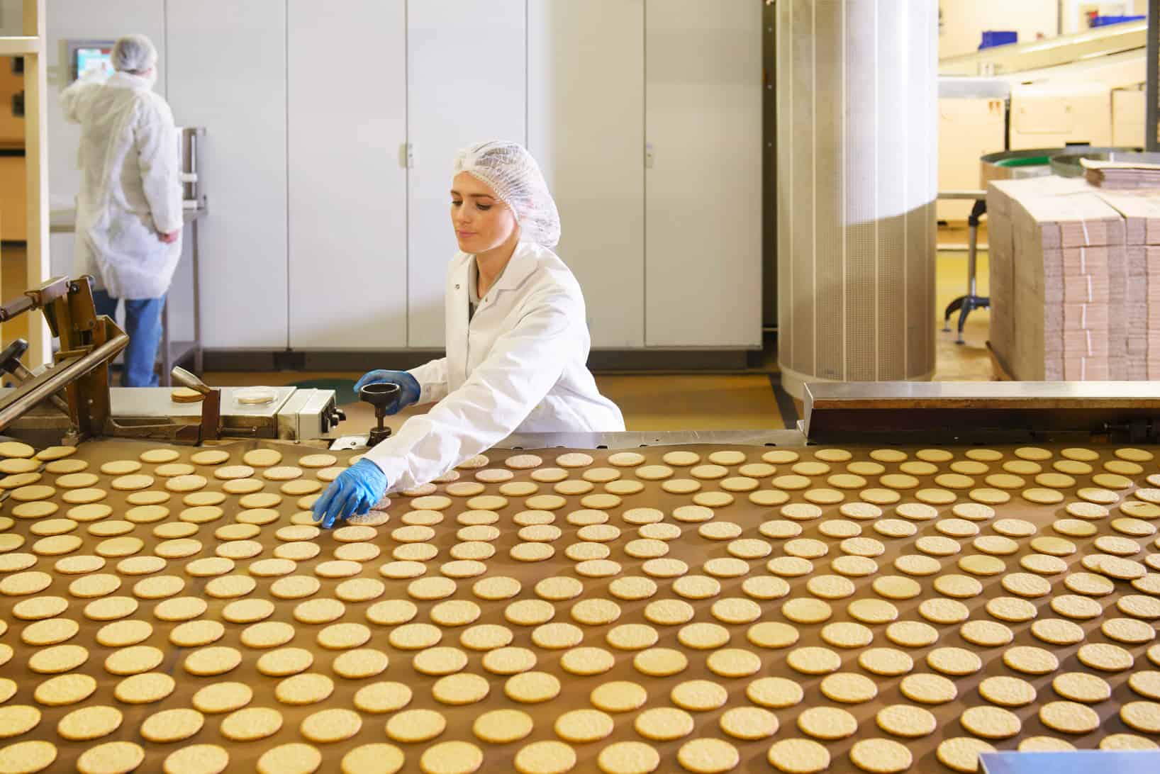 Biscuit factory worker inspecting freshly made biscuits on production line