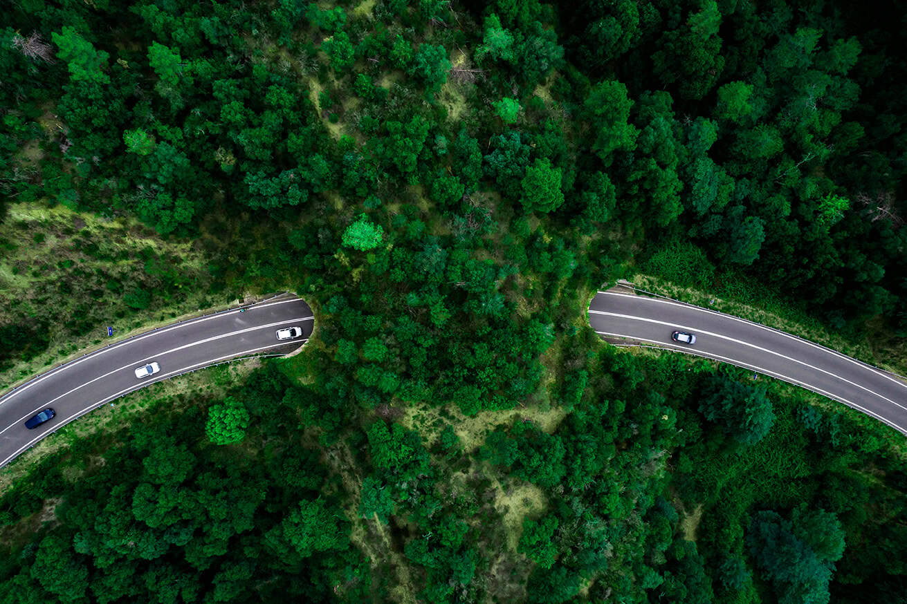Aerial View Of Green Bridge Corridor For Wildlife To Cross Highway Safely.