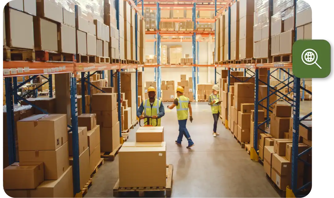 Cpg Snapshot 2a