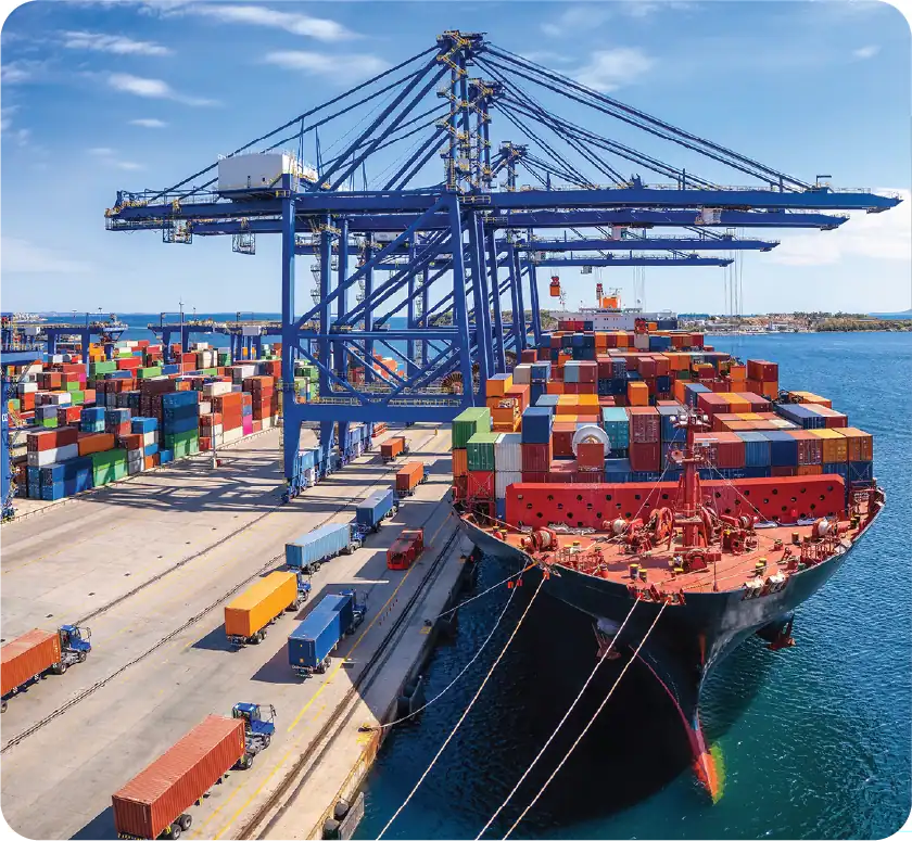 Idc Retailers And Importers Img 4