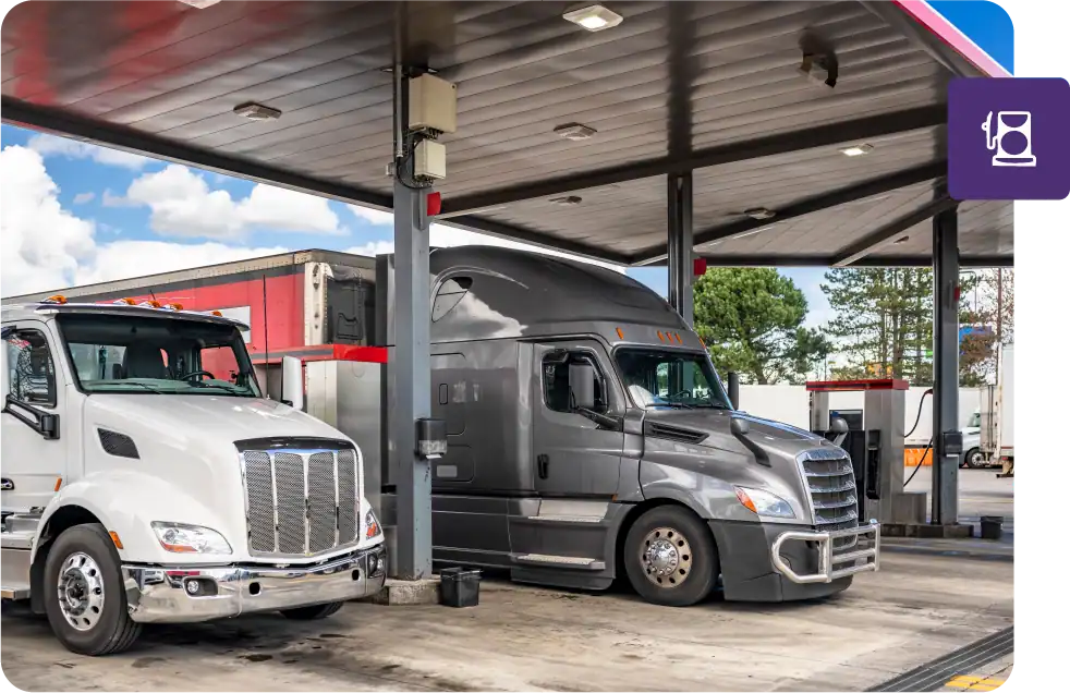 B Mature Transportation Image3